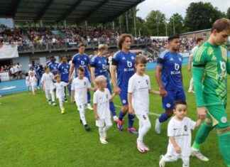 Lens Stream: Foxes Hub Launches Available in UK & Thailand news-10082024-154656