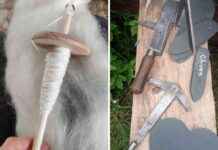 National Heritage Week: Free Events Lineup news-14082024-014754