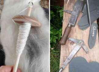 National Heritage Week: Free Events Lineup news-14082024-014754