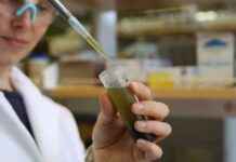 Tracking Forever Chemicals to Their Source: New Method Developed news-14082024-015358