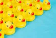 The Mystery of Rubber Ducks on Cruise Ships: What’s the Story Behind Them? news-14082024-020810