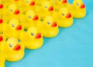 The Mystery of Rubber Ducks on Cruise Ships: What’s the Story Behind Them? news-14082024-020810