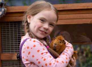 Top Deals of the Week: August 12, 2024 news-14082024-020949