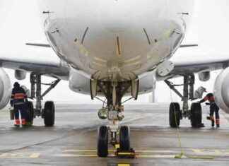 Airfreight Market Stability: Air Cargo Week Updates news-14082024-031455