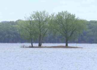 Spanish Safety Signage Urgently Needed After Mother’s Tragic Drowning at Percy Priest Lake news-14082024-032528