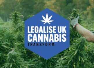‘Bristol Pioneering Efforts to Legalize Cannabis’ news-27092024-104315