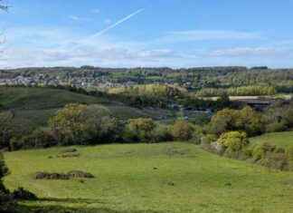 Can the Greens Save Yew Tree Farm from Destruction? news-12102024-002334