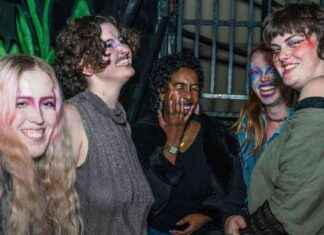 Trans Majority Drag: Building Community in Bristol news-19112024-220533