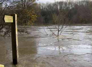 Recognizing the Rights of the River Avon: A Call to Action recognizing-the-rights-of-the-river-avon-a-call-to-action