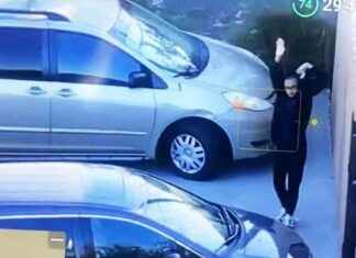 Man Cornered by SWAT at New Orleans Home of Alleged Terrorist man-cornered-by-swat-at-new-orleans-home-of-alleged-terrorist