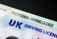 Introducing Digital Driving Licences: What You Need to Know ntroducing-digital-driving-licences-what-you-need-to-know