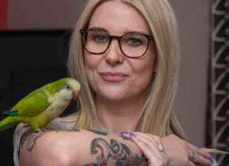 Parrot foils burglary attempt in heroic dive-bomb rescue parrot-foils-burglary-attempt-in-heroic-dive-bomb-rescue