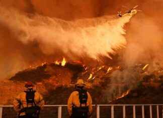 Potential Cause of LA Wildfires: Spike in Power Grid Faults potential-cause-of-la-wildfires-spike-in-power-grid-faults