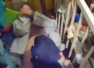 Woman Caught Hiding Under Toys After Taunting Cops: What Happened? woman-caught-hiding-under-toys-after-taunting-cops-what-happened