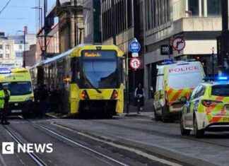 Police hunt van driver after 3-year-old girl dies in tram crash. police-hunt-van-driver-after-3-year-old-girl-dies-in-tram-crash