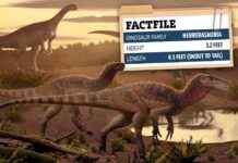 ancient-killer-dinosaur-species-unearthed-after-220-million-years