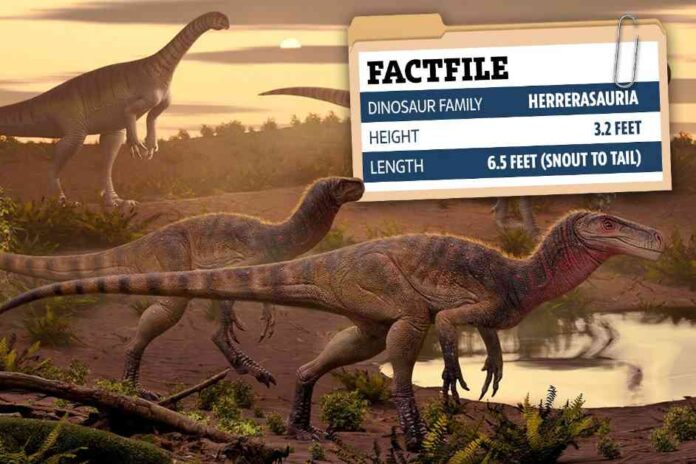 ancient-killer-dinosaur-species-unearthed-after-220-million-years