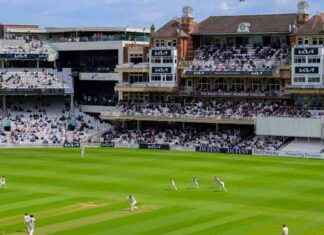 Government Workers Spend £3k on Team Building Event at Oval Cricket Ground government-workers-spend-3k-on-team-building-event-at-oval-cricket-ground
