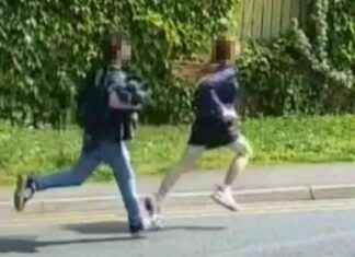 Teenagers confess to torturing and murdering kittens captured on CCTV teenagers-confess-to-torturing-and-murdering-kittens-captured-on-cctv