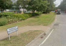 woman-stabbed-in-office-man-arrested-victim-critical