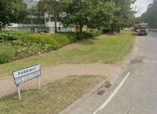 Woman Stabbed in Office: Man Arrested; Victim Critical woman-stabbed-in-office-man-arrested-victim-critical