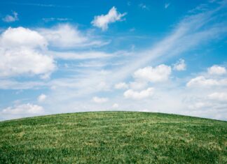 Herne Hill London Secrets: Discover Hidden Gems and Local Wonders