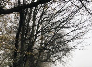 Gangs Of London Season 4: What Shocking Twists Await Fans?