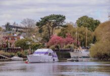 Novotel London Greenwich: Discover Luxury Stays and Hidden Gems
