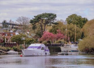 Novotel London Greenwich: Discover Luxury Stays and Hidden Gems