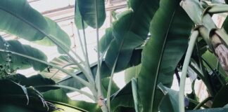 Oxygen Acton London: Discover Powerful Wellness Benefits Today