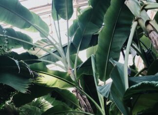 Oxygen Acton London: Discover Powerful Wellness Benefits Today