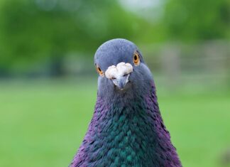 Apprenticeships London: Discover Top Opportunities To Boost Careers