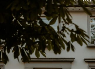 Farzi London Secrets Unveiled: Why Everyone Is Talking About It