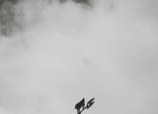 North West London Secrets: Why Everyone Is Talking About This Area