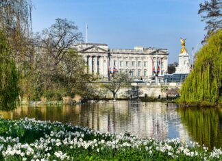 London To St James Park: Discover The Most Scenic Route Today