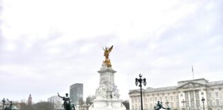 St George’s Hospital Jenner Wing Blackshaw Road London: Discover Excellence in Care