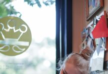 Cat Cafe London: Discover The Ultimate Cozy Spot For Cat Lovers