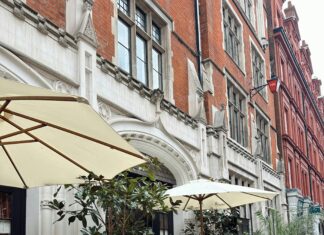 Rainforest Cafe London: Discover The Enchanting Jungle Dining Experience