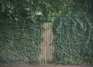 London Insider: Discover Hidden Gems and Secrets You Must Know