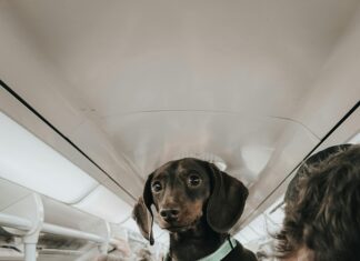 Glasgow To London Train: Discover The Ultimate Travel Experience