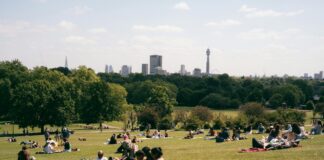 Primrose Hill London: Discover Hidden Gems and Stunning Views