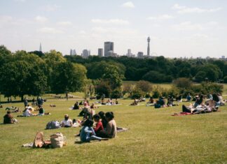 Primrose Hill London: Discover Hidden Gems and Stunning Views