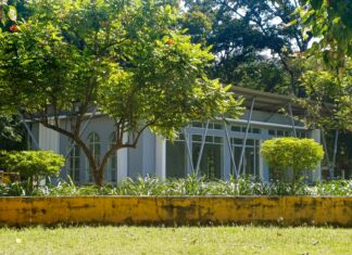 Bethnal Green London: Discover Hidden Gems and Vibrant Culture