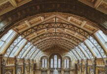 Barbie Exhibition London: Discover The Ultimate Doll Experience