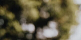 Freecycle London: Discover How To Save Money And Reduce Waste