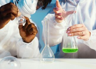 Queen Elizabeth Hospital London: Discover Expert Care & Services