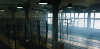 The Box Club Soho London: Why Is Everyone Talking About It?