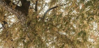 London To NYC: How To Experience The Ultimate Transatlantic Adventure