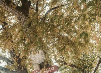 London To NYC: How To Experience The Ultimate Transatlantic Adventure