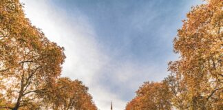 Grand Royale London Hyde Park: Discover Luxury and Hidden Gems